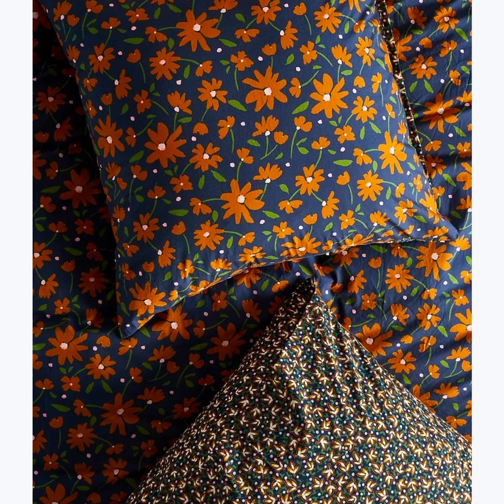 ANTHROPOLOGIE Anges Pair of Shams